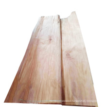 Natural Cheap Price Oem Wood Keruing/Gurjan Veneer Plywood